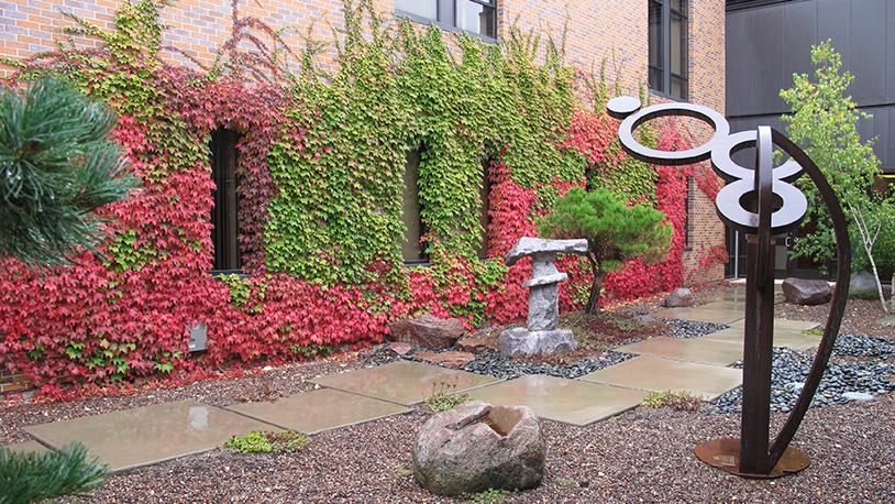春天的禅宗花园，墙上挂着红叶藤蔓